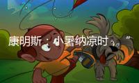 康明斯：小暑纳凉时，“芯”静自然强
