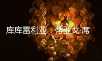 库库雷利亚

：蒂亚戈·席尔瓦是传奇	，我们看过弗鲁米嫩塞的比赛
