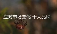 快排公司十年历程，霸屏兔 seo 的崛起与坚守