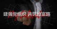 快排公司十年历程，霸屏兔 seo 的崛起与坚守