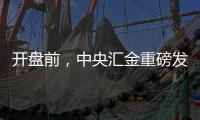 开盘前�，中央汇金重磅发声
