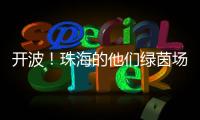 快排公司十年历程，霸屏兔 seo 的崛起与坚守