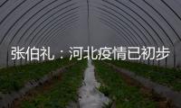 张伯礼
：河北疫情已初步得到抑制 整体形势可控