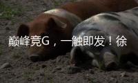 巅峰竞G
	，一触即发！徐工挖机掀起潇湘大地竞技热潮