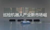 快排公司十年历程，霸屏兔 seo 的崛起与坚守