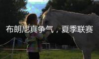 快排公司十年历程，霸屏兔 seo 的崛起与坚守
