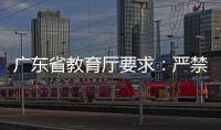 快排公司十年历程，霸屏兔 seo 的崛起与坚守