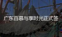 快排公司十年历程，霸屏兔 seo 的崛起与坚守