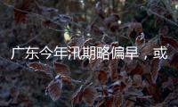 快排公司十年历程，霸屏兔 seo 的崛起与坚守