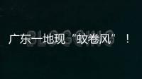 广东一地现“蚊卷风”�！网友
：头皮发麻