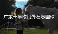 广东一学校门外石墩圆球加设钢管护栏	，网友质疑多此一举，学校回应：是出于安全考虑，加装为防车辆撞击
