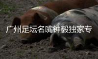 广州足坛名嘴钟毅独家专访
，最看好郭五岳的发展：模版金英权