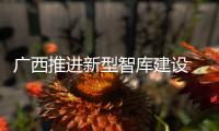广西推进新型智库建设 发挥智库“第二外交”渠道作用