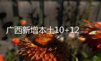 广西新增本土10+121 在北海市、崇左市等地