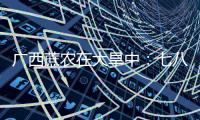 广西蔗农在大旱中
：七八个月了
，雨“连蚂蚁都没喂饱”