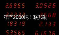 快排公司十年历程，霸屏兔 seo 的崛起与坚守