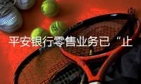 平安银行零售业务已“止血”，脱困尚需定力｜透视金融业2024年年报①