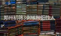 快排公司十年历程，霸屏兔 seo 的崛起与坚守