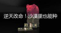 快排公司十年历程，霸屏兔 seo 的崛起与坚守