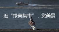 逛“绿美集市”，赏美景，珠海大小朋友文明游园过“双节”