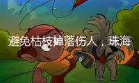 快排公司十年历程，霸屏兔 seo 的崛起与坚守