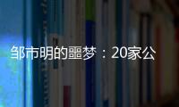 邹市明的噩梦�：20家公司崩盘
	，败光2亿，妻子变卖名牌填窟窿