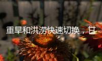 快排公司十年历程，霸屏兔 seo 的崛起与坚守