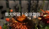 重大突破！全球首例！