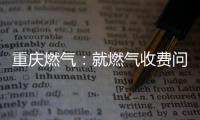 重庆燃气
：就燃气收费问题对相关责任人和部门追责问责