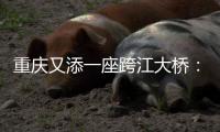 重庆又添一座跨江大桥	：马鞍石复线桥开工建设