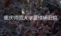 快排公司十年历程，霸屏兔 seo 的崛起与坚守
