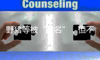 野猪等被“除名”	，但不意味着可随意捕杀