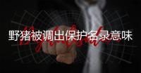 野猪被调出保护名录意味着什么？