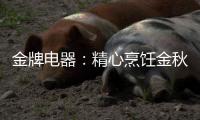 快排公司十年历程，霸屏兔 seo 的崛起与坚守