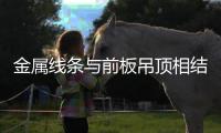 快排公司十年历程，霸屏兔 seo 的崛起与坚守