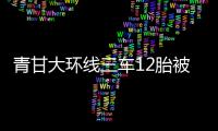 青甘大环线三车12胎被扎，官方通报：两人被抓