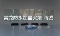 快排公司十年历程，霸屏兔 seo 的崛起与坚守