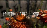 快排公司十年历程，霸屏兔 seo 的崛起与坚守