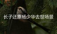 长子还原杨少华去世场景！头晕送医半路离世
，杨议隐瞒细节惹争议
