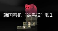 韩国客机“被鸟撞”致179死，飞机和飞鸟之间有几道防线？丨漫热点