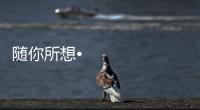 随你所想•体验未来丨海信照明系统
，照亮你的生活