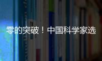 快排公司十年历程，霸屏兔 seo 的崛起与坚守