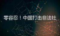 快排公司十年历程，霸屏兔 seo 的崛起与坚守