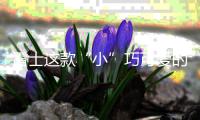 雷士这款“小”巧可爱的灯，居然有“大”作用