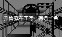 雅鲁藏布江底，有条“鱼”在凝望沙的迁徙