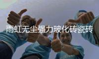 快排公司十年历程，霸屏兔 seo 的崛起与坚守