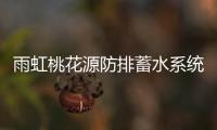 快排公司十年历程，霸屏兔 seo 的崛起与坚守