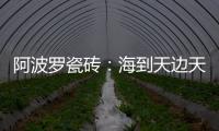 阿波罗瓷砖
：海到天边天作岸，山登绝顶我为峰