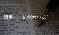 阿里、“杭州六小龙”
！澳琴组团赴杭招商
，走访超20家知名企业