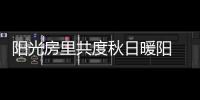 快排公司十年历程，霸屏兔 seo 的崛起与坚守